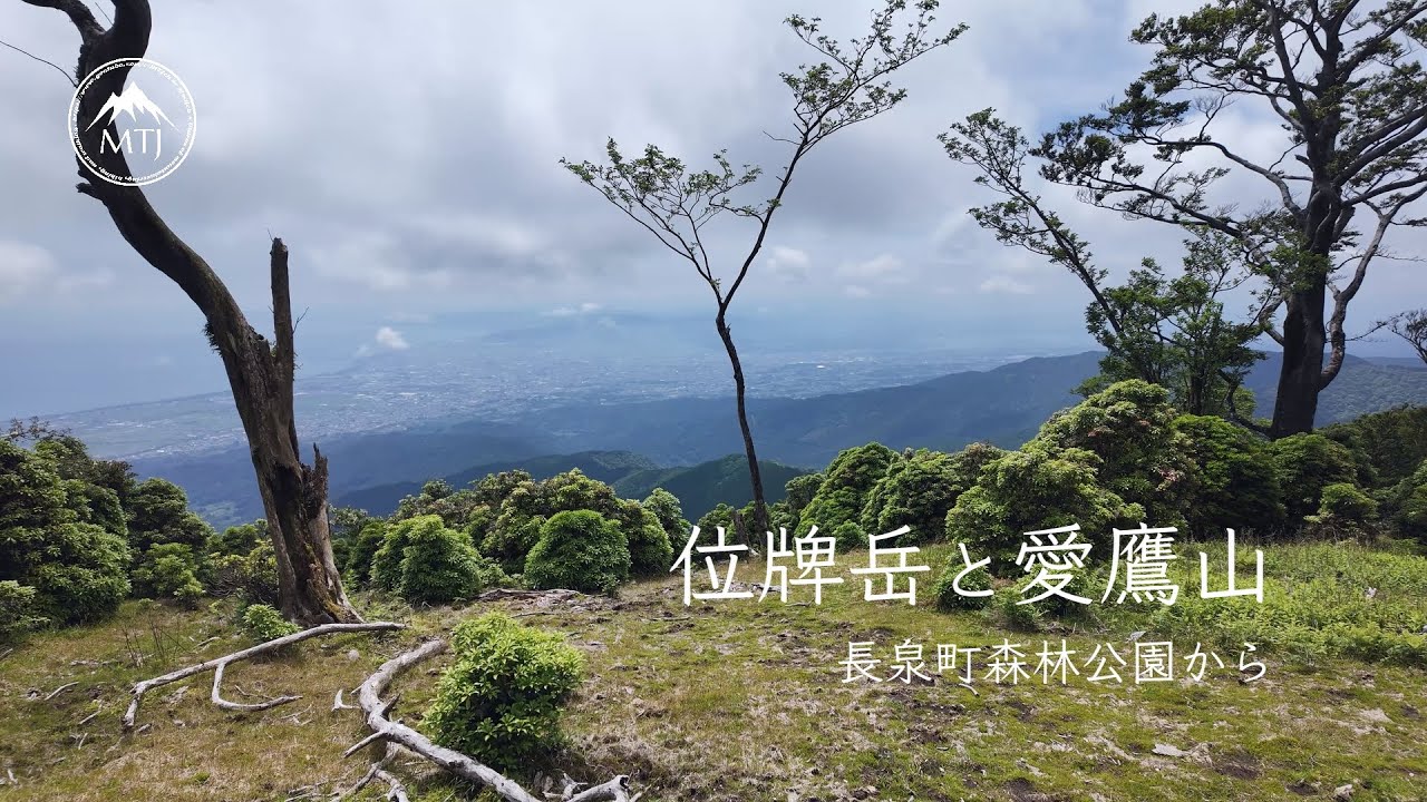 位牌岳と愛鷹山｜愛鷹山塊 森林公園から【登山・ハイキング・日帰り・車・2025年6月21日】静岡県