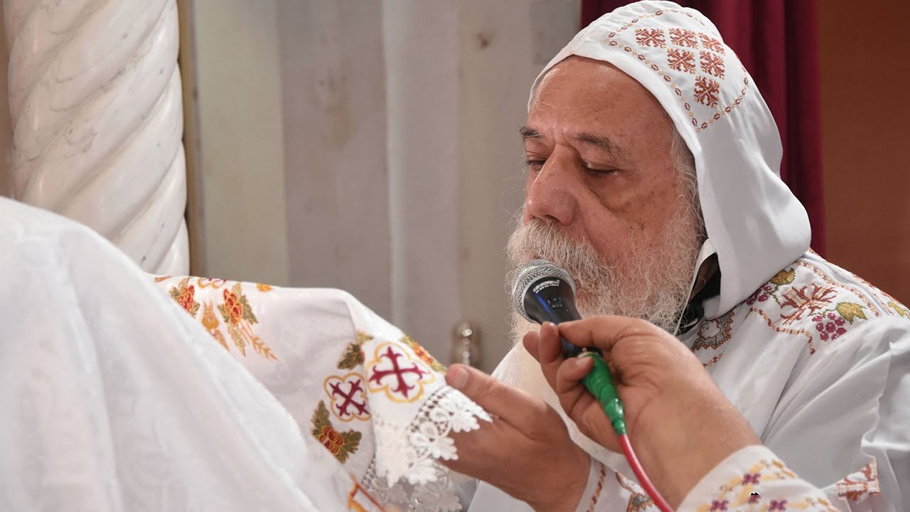 القداس الالهى نيافة الانبا ديمتريوس مطران ملوي وانصنا والأشمونين
