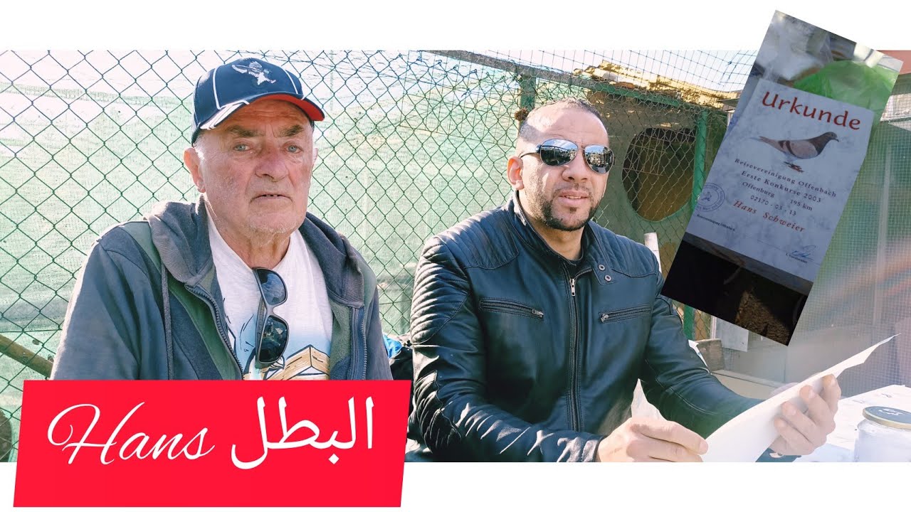 زيارة عند أسطورة ألمانيا Hans في سباق المسافات المتوسطة بالحمام الزاجل الذي حقق جميع الإنجازات.