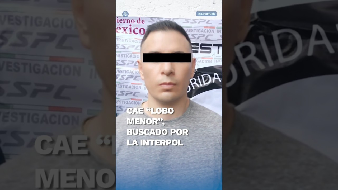 Detienen en CDMX a &ldquo;Lobo Menor&rdquo;, l&iacute;der criminal buscado por Interpol #shorts