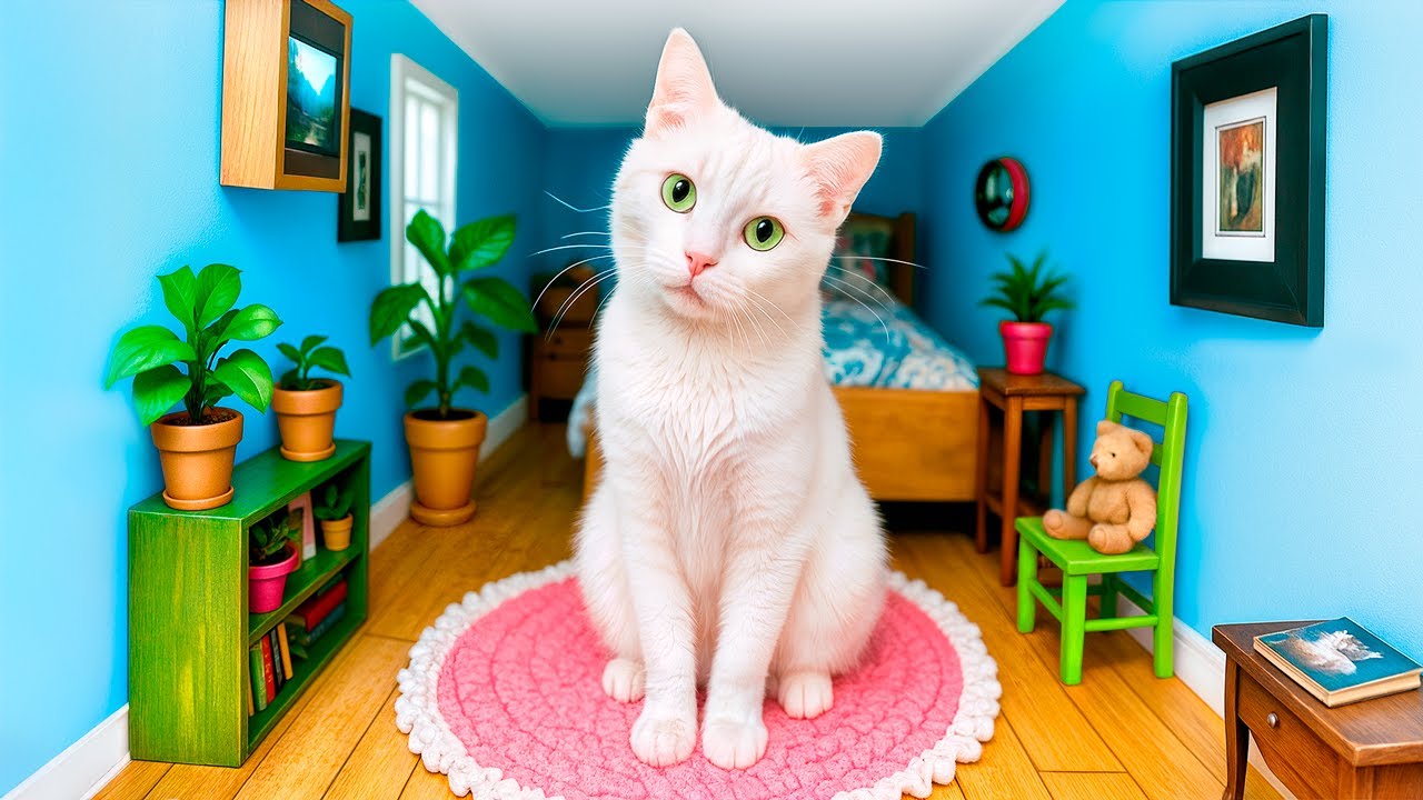 Chúng mình xây phòng bí mật cho thú cưng!