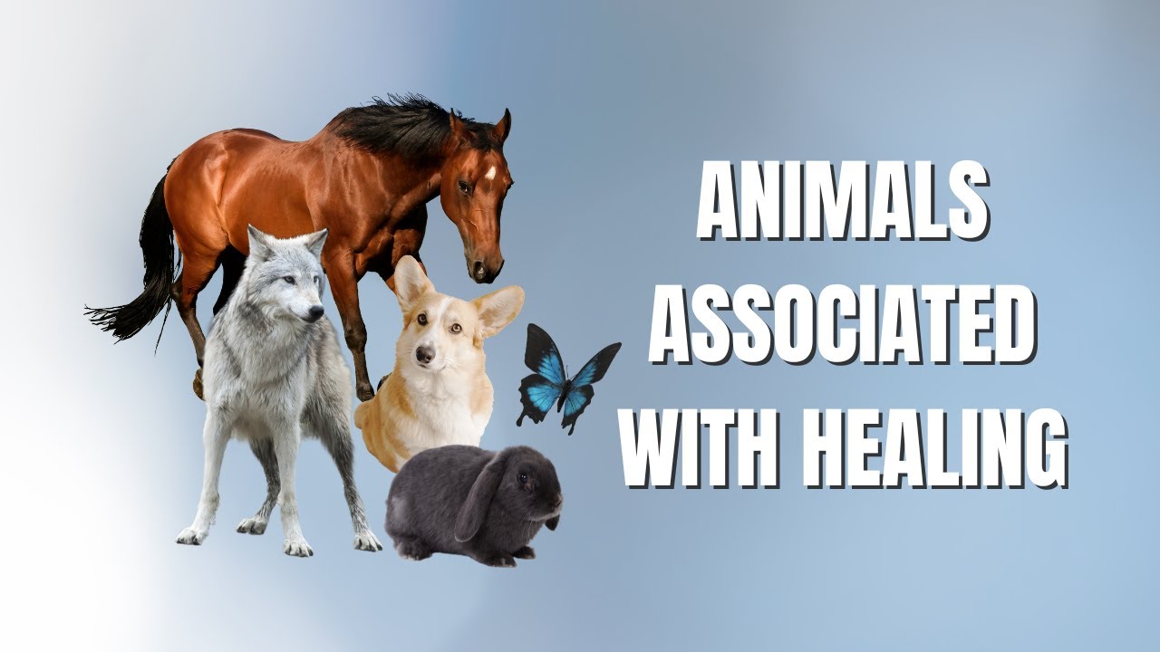 The Most Fascinating Animals Associated with Healing