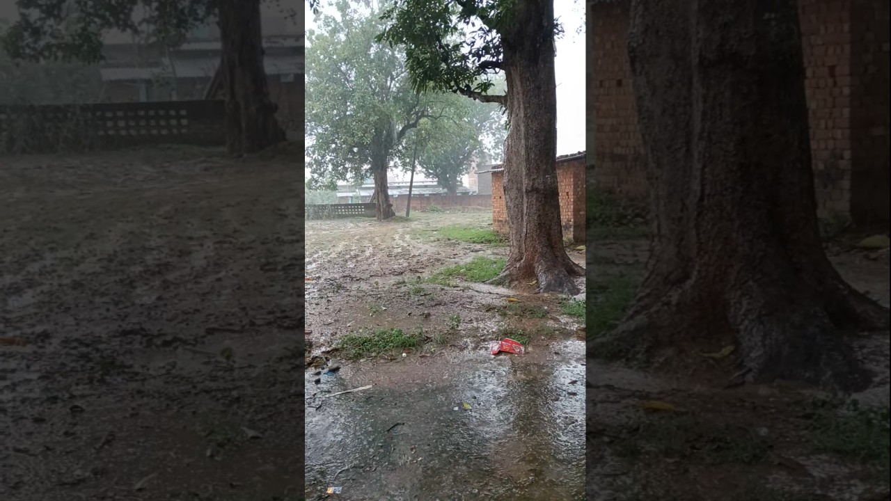 Today weather update India all states #shorts