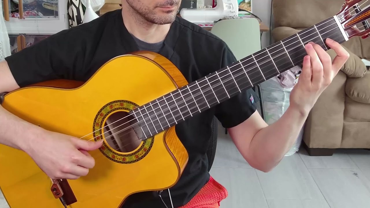 KNA NG-2 Pickup --- Sound Test on FLAMENCO guitar