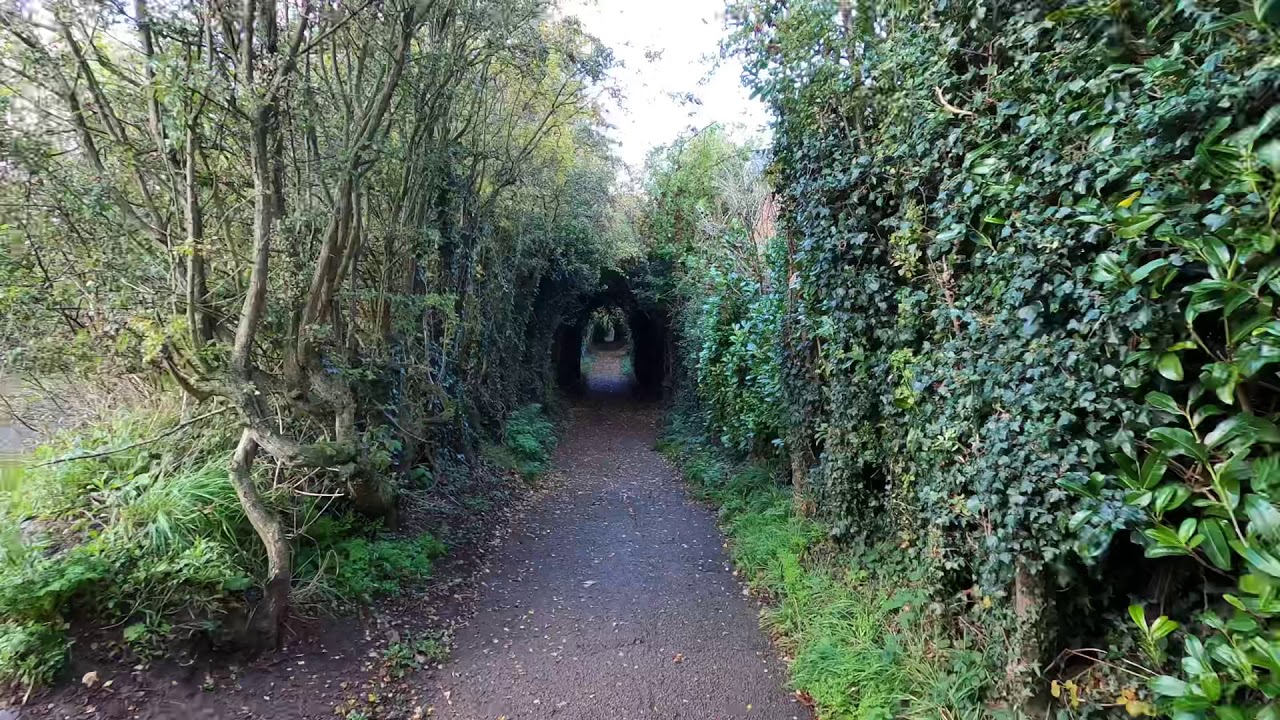 Telford T50 Trail: Stage 5 Horsehay to Oakengates