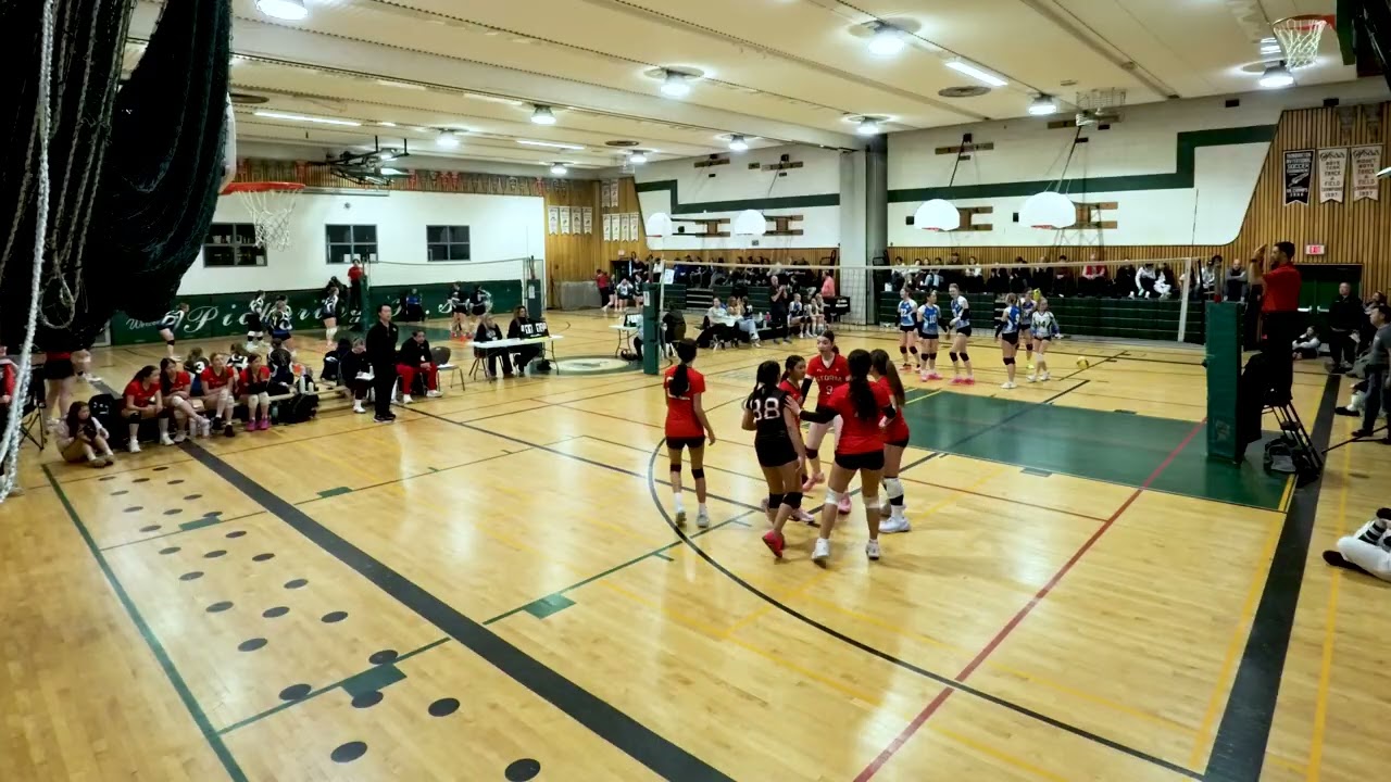 STORM HURRICANES VS NORTHUMBERLAND BREAKERS BARRACUDA   SET 1 OF 3