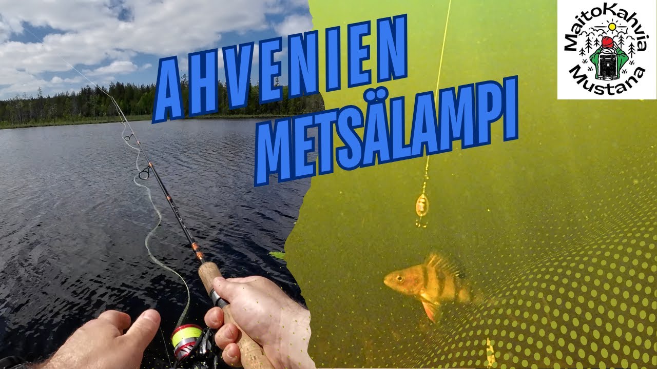 METSÄLAMPI TÄYNNÄ AHVENTA! - Ongitaan ahvenet meps lipalla.