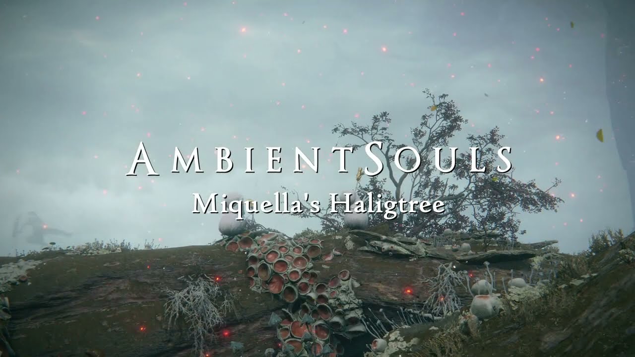 Ambient Souls - Miquella's Haligtree | One Hour of Elden Ring Ambience and Atmosphere