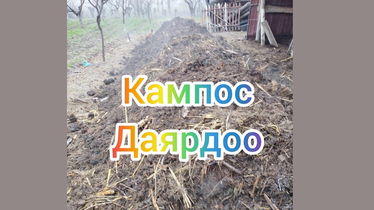 N53 кампос даярдоо
