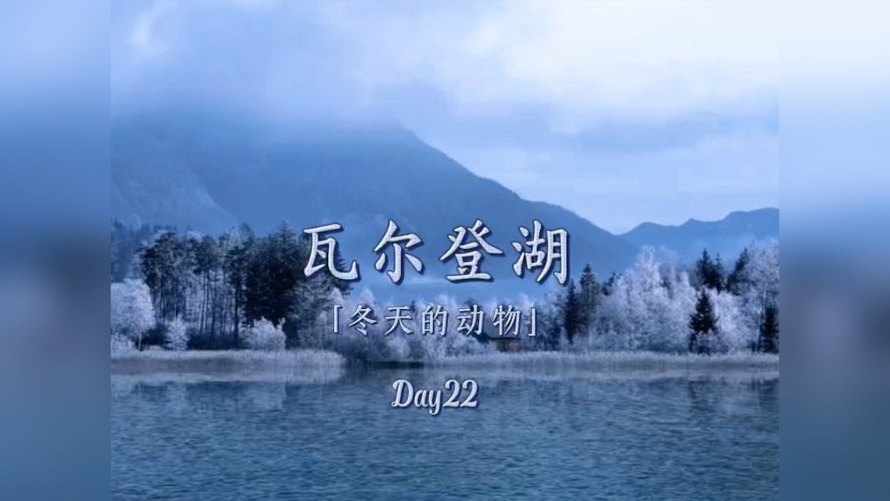 听着入睡，听听《冬日的动物》们和你的围炉夜谈 孤单是太渴望人群，而独处时却可以拥有万物，不然你听！昨夜的土拨鼠又来偷吃你的玉米粒了，唧唧，啾啾。