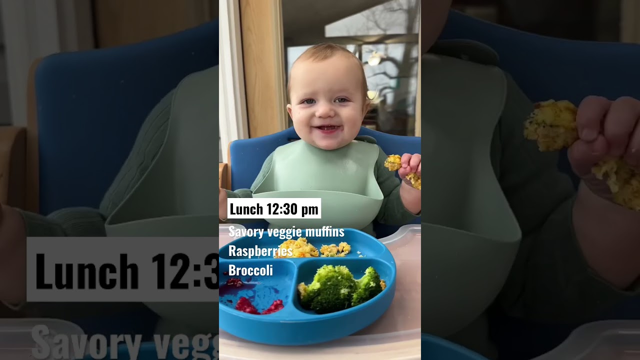 What my 9 month old eats in a day! 😋 #shorts #blw #babyfood #baby