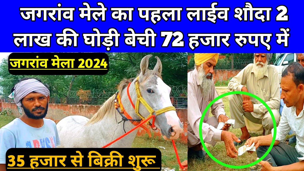 जगरांव मेले का पहला लाईव शौदा 2 लाख की घोड़ी बेची 72 हजार में। Jagraon Mela 2024।