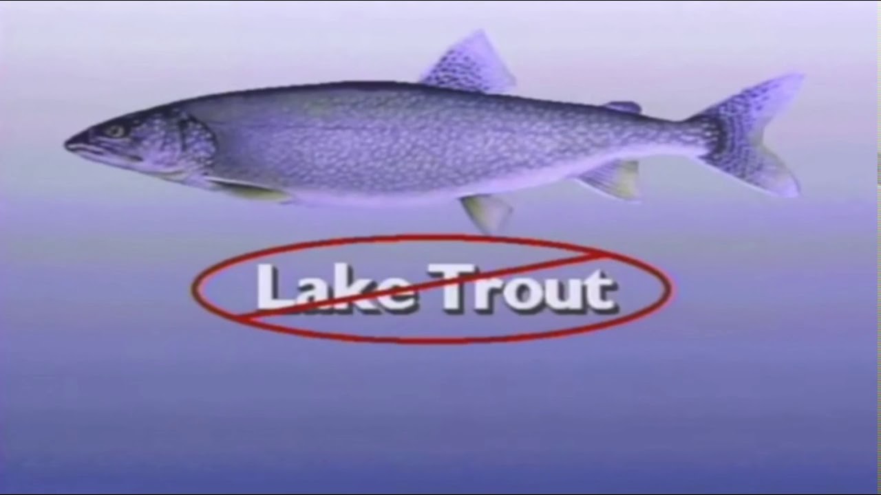Fishing TV Show FishnStixTV #110 World Record Lake Trout
