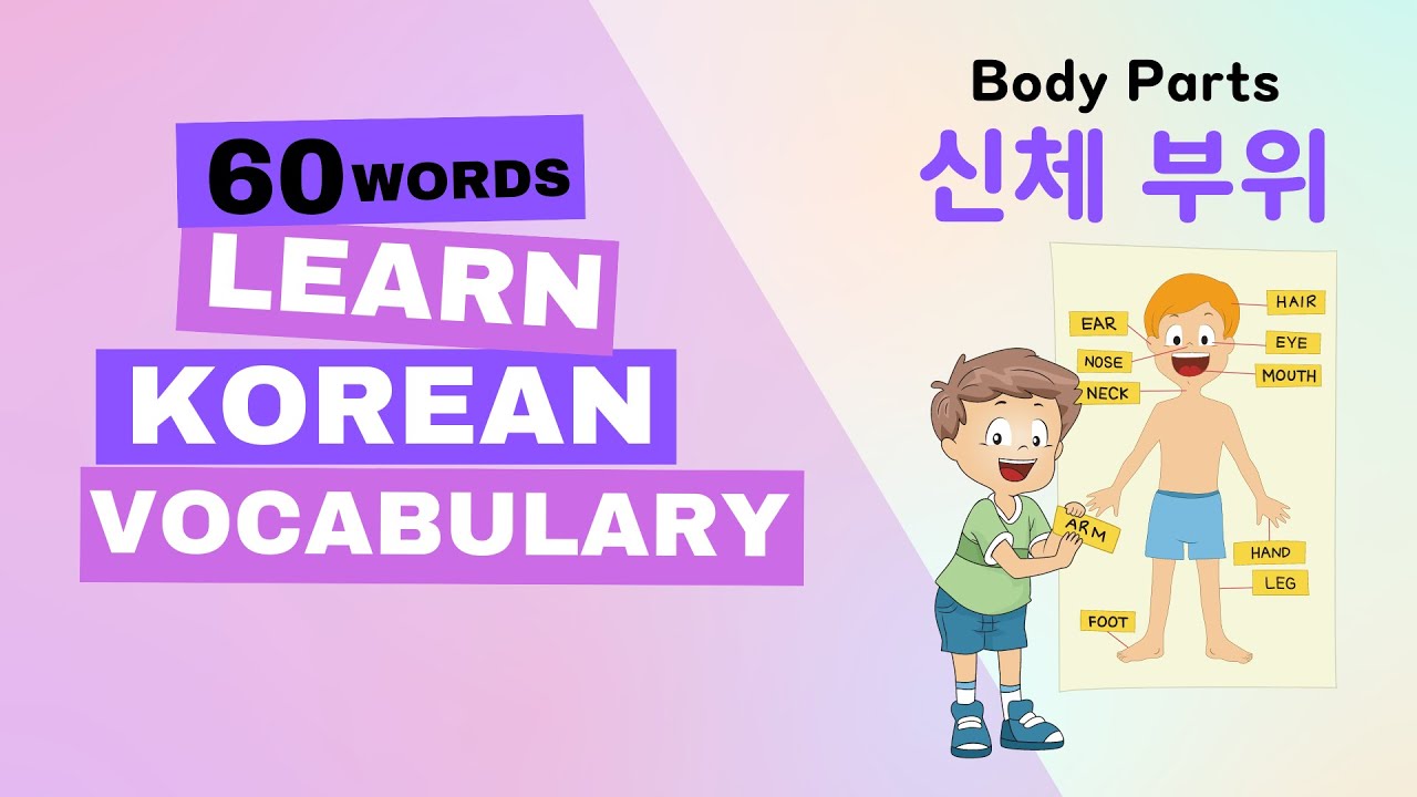 Korean Vocabulary/ 신체 부위 이름 60개 / 60 Body Parts Names