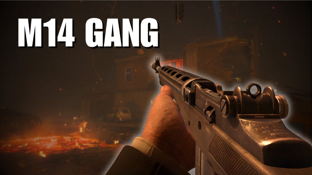 Только M14, BO2 Zombies &mdash; ненавижу рандом