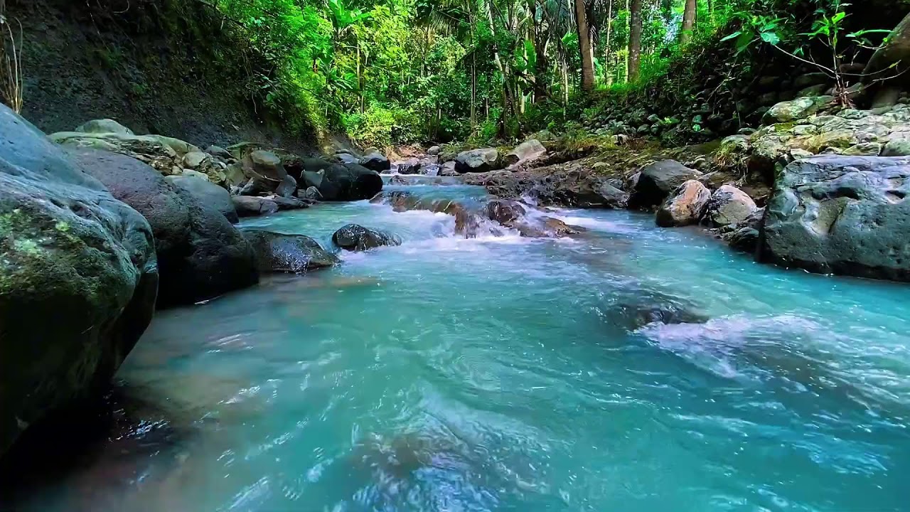 Forest River Night Flow, Mountain Stream Sounds, Sleep