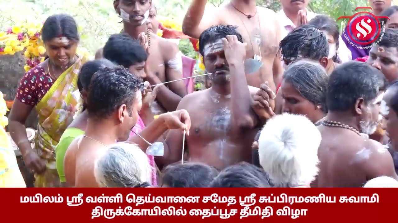 மயிலம் ஸ்ரீ வள்ளி தெய்வானை சமேத ஸ்ரீ சுப்பிரமணிய சுவாமி திருக்கோயிலில் தைப்பூச தீமிதி விழா 2026