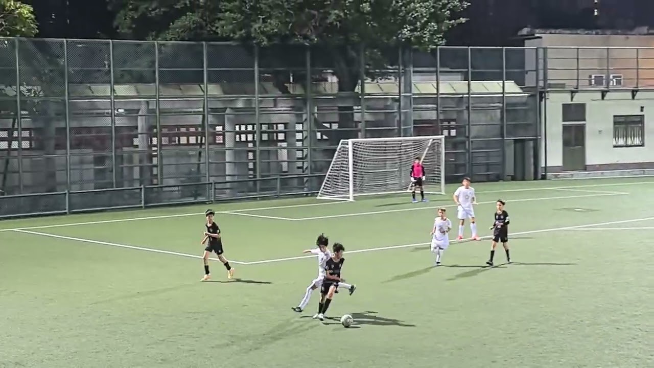 20260305 IVO vs IPO