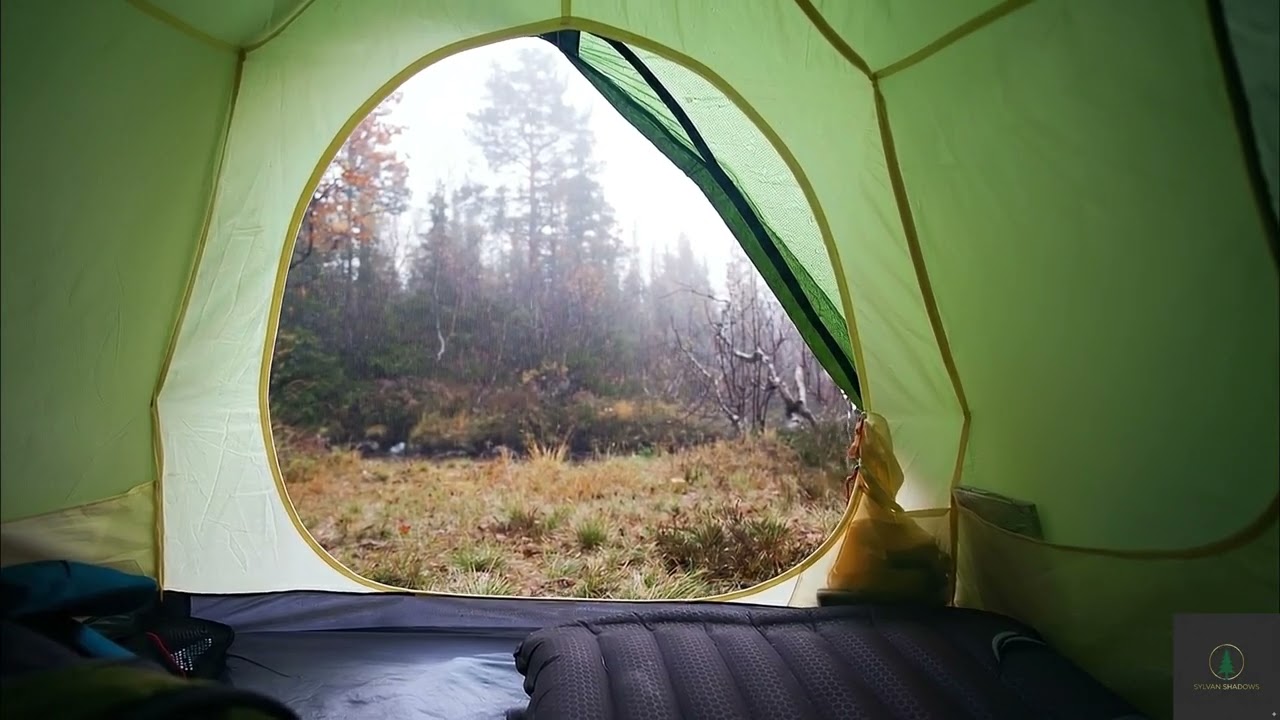 Rain on Tent in the Deep Forest | 8 Hours of Heavy Rain for Sleep & Anxiety Relief [432Hz] | Loop