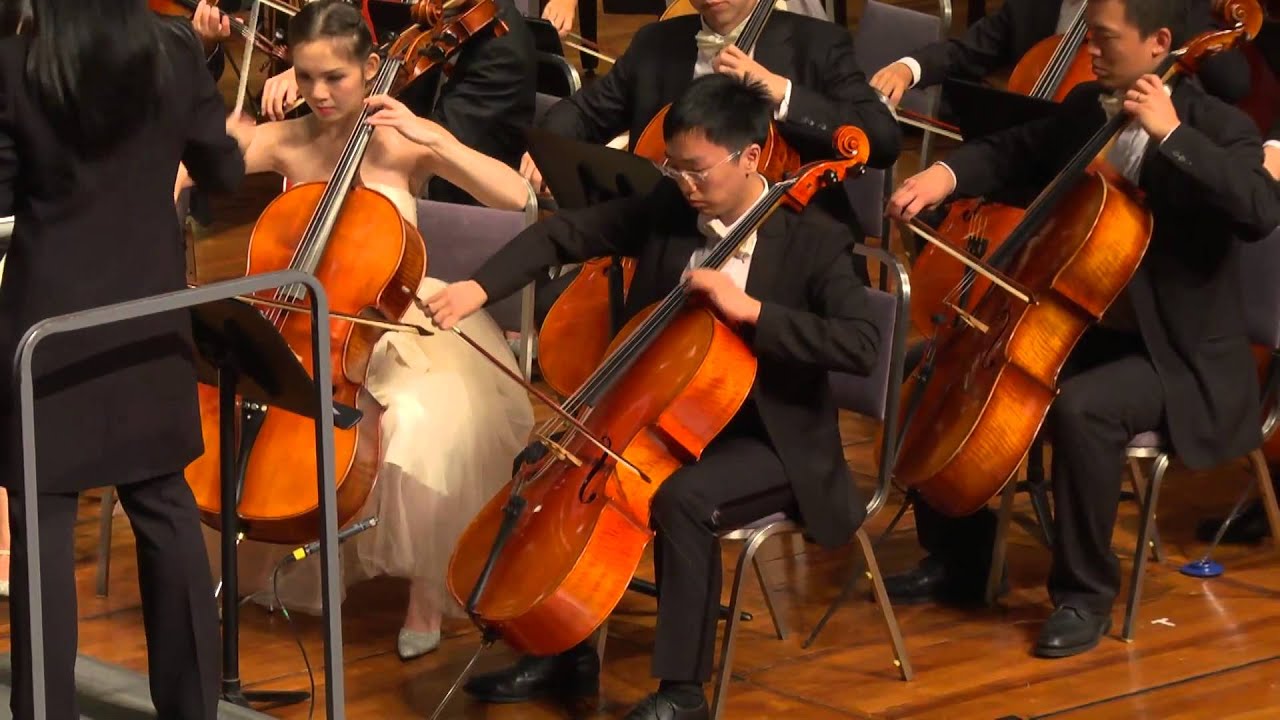 Irish Legend performed by Millennium Youth Orchestra