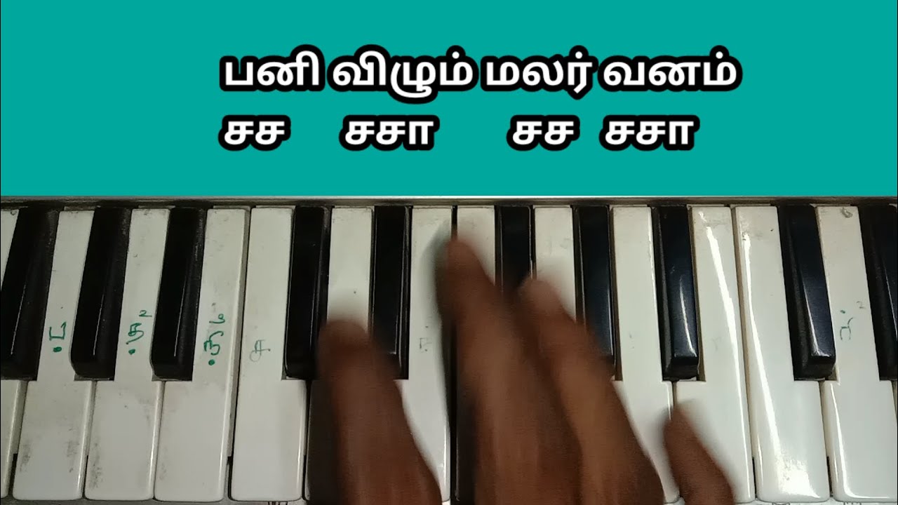 பனி விழும் மலர் வனம் | சலநாட்டை ராகம் | இளையராஜா