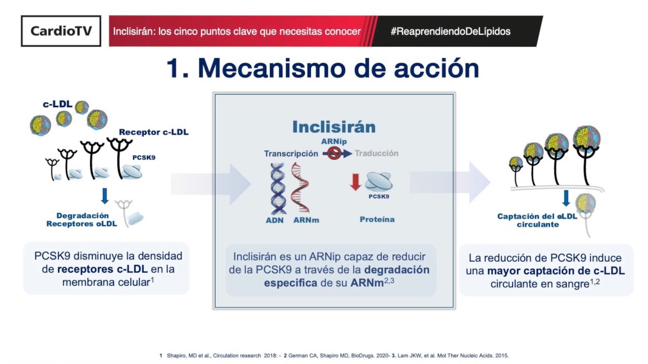 Inclisirán: los cinco puntos clave que necesitas conocer