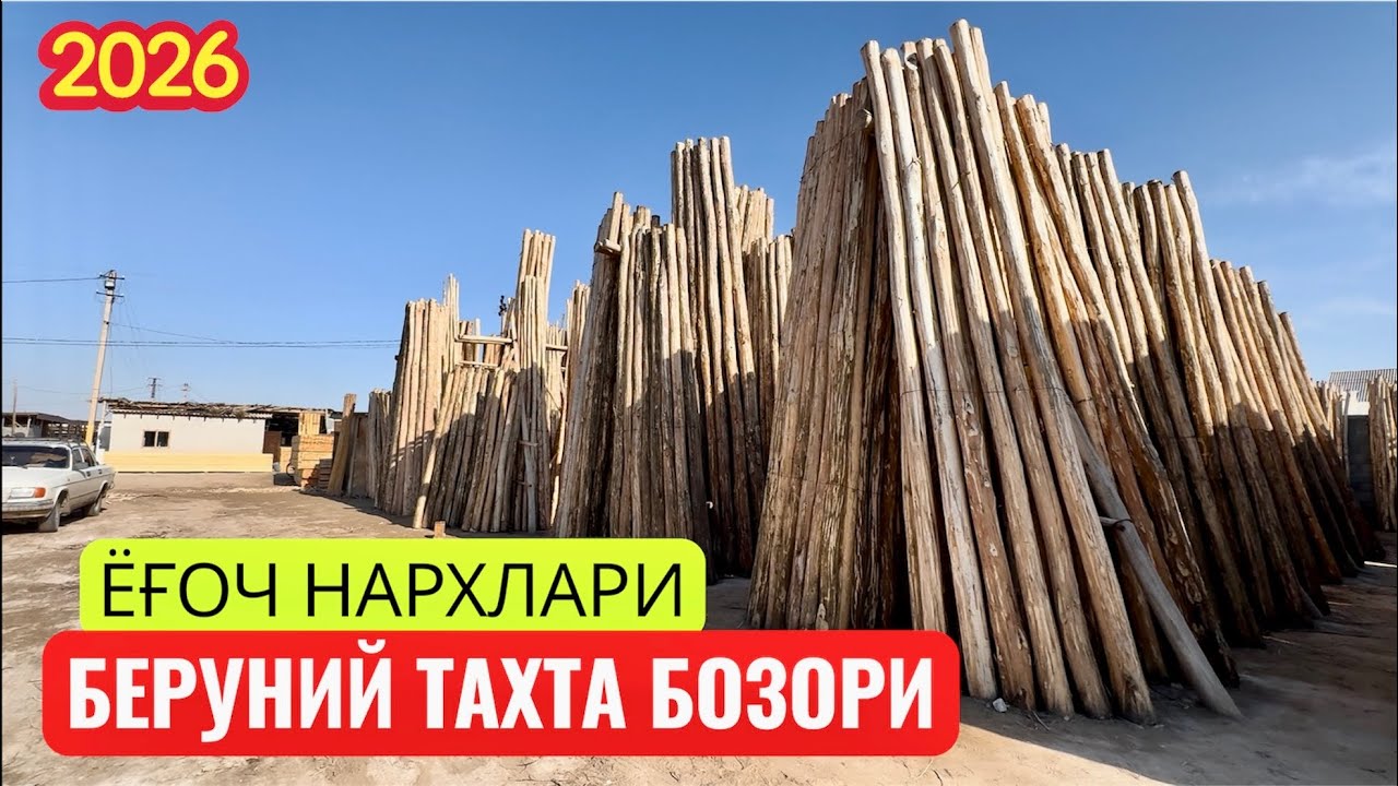 БЕРУНИЙ ТАХТА БОЗОРИ ЁҒОЧ НАРХЛАРИ 2026 #турткуль #beruniy #xorazm #ellikqala 