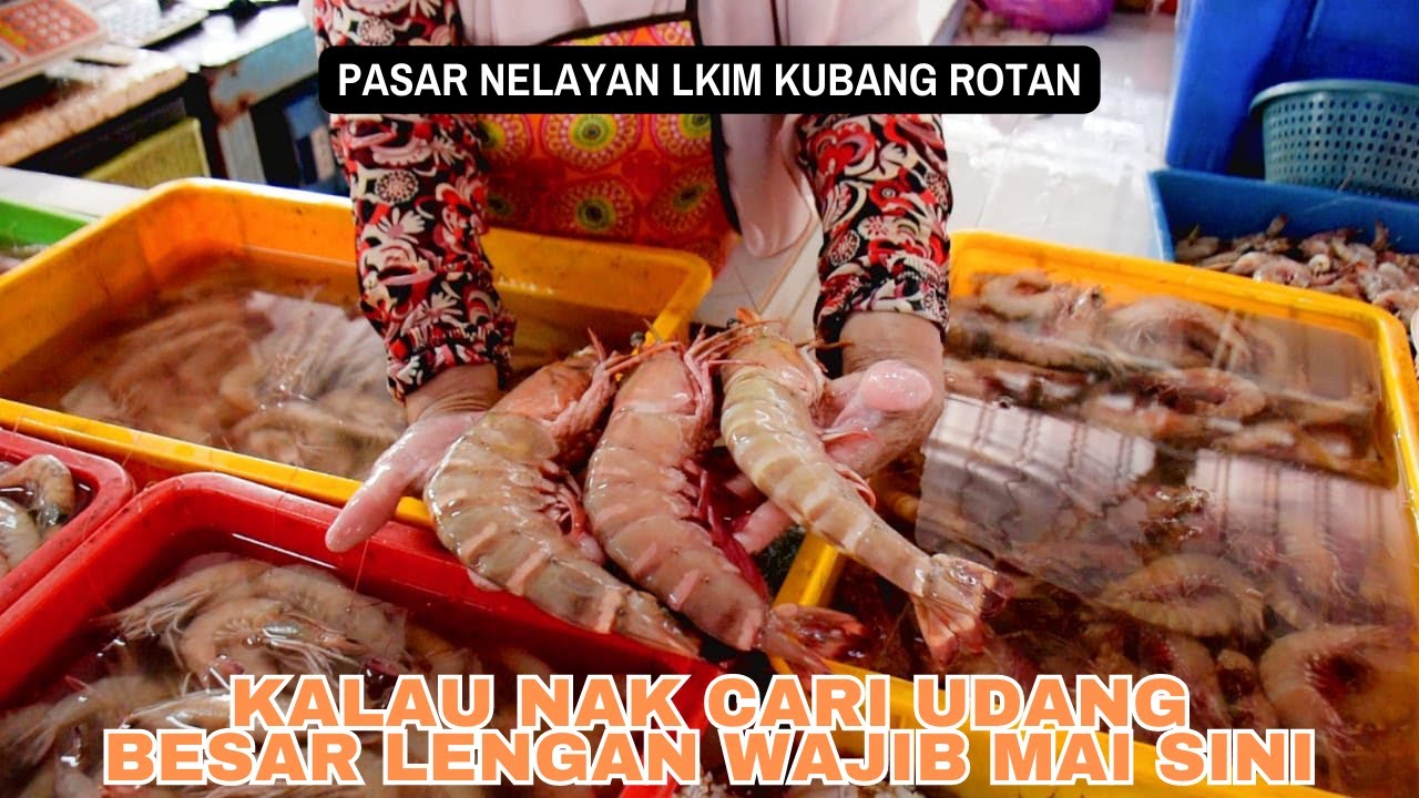 Kalau nak cari udang besar lengan wajib mai sini. Pelantar Nelayan LKIM Kubang Rotan, Kuala Kedah