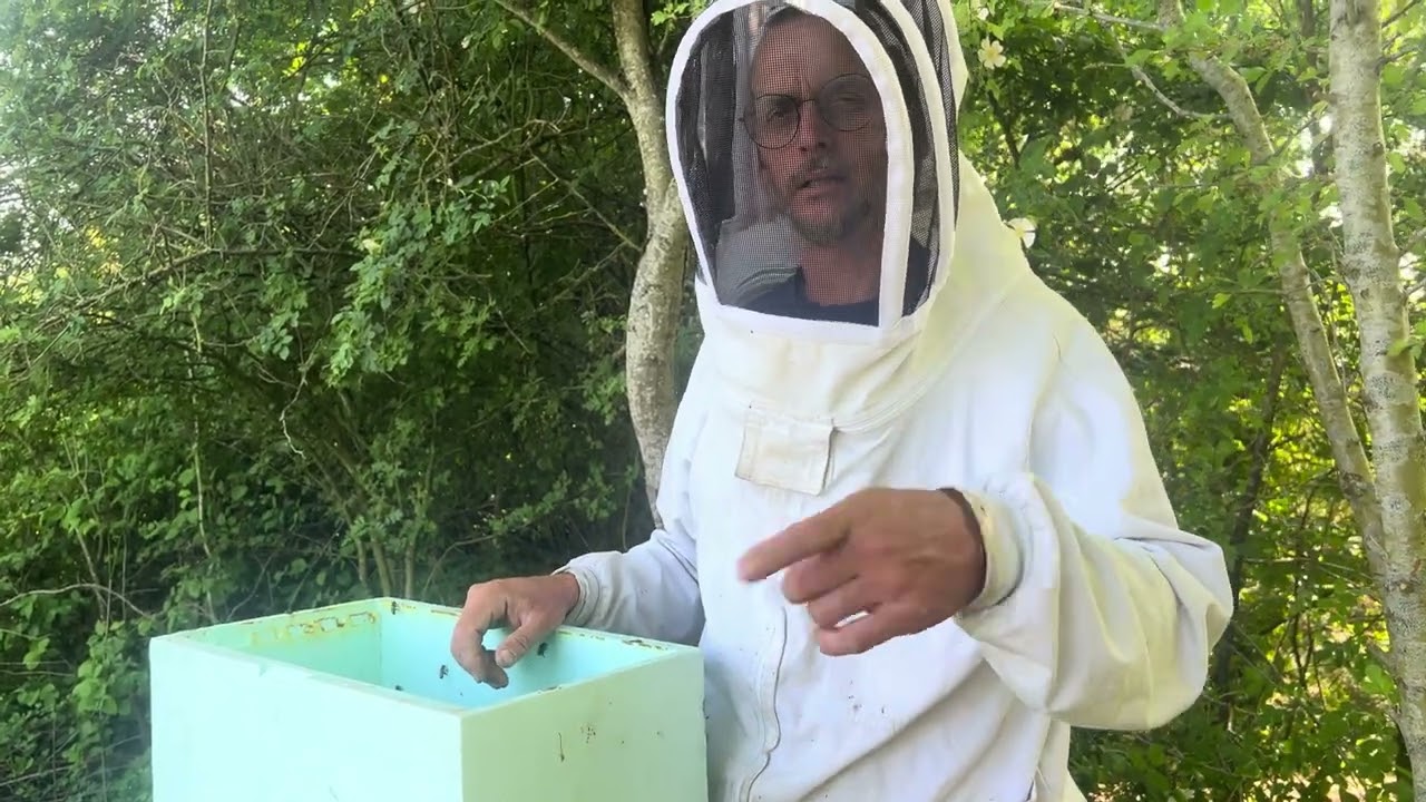 S01E34 - changer une reine méchante - technique du tabac