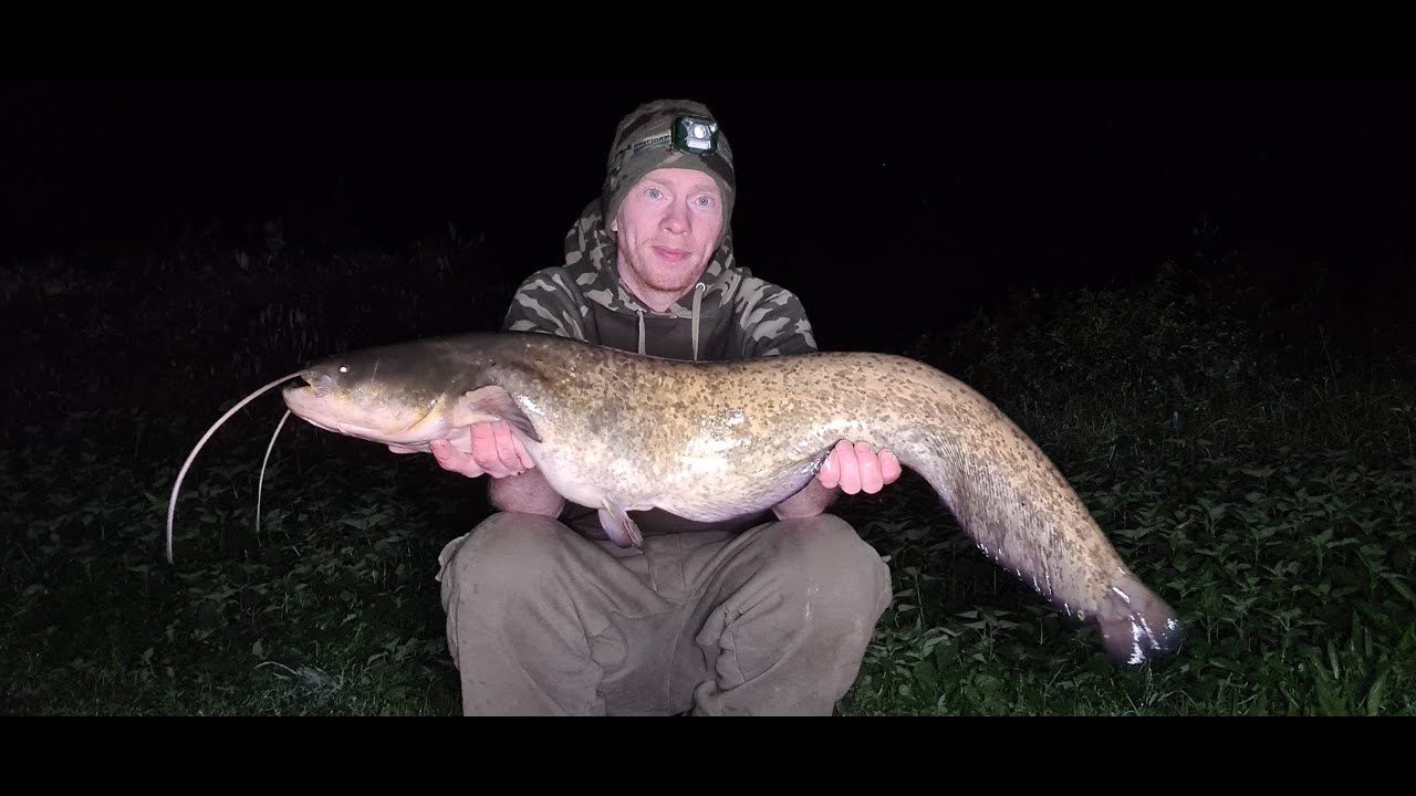 24hrs on Terrapin Lake - Darenth  Fishing Complex