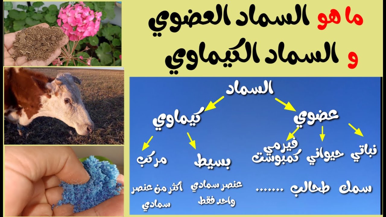 ما هو السماد العضوي (طبيعي) و السماد الكيماوي? و ما الفرق بينهما!