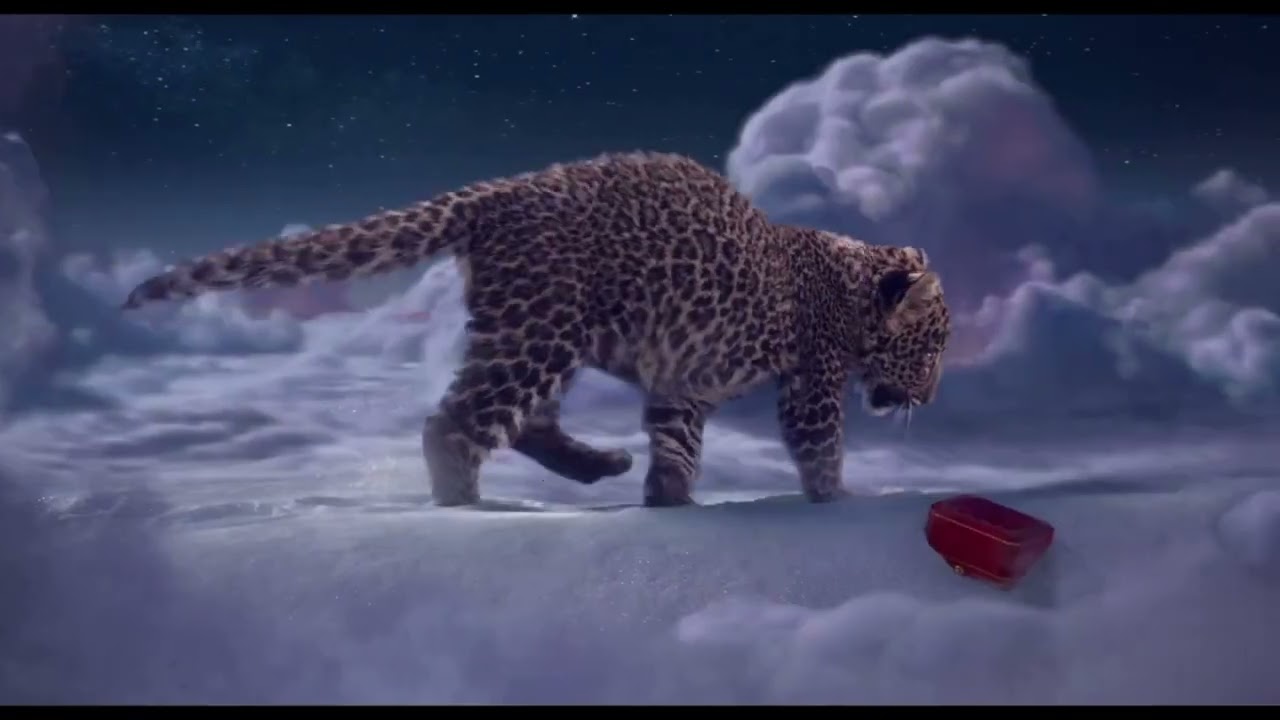 La gioia degli animali