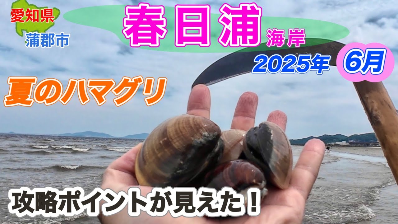夏の潮干狩り、これを知らないと採れない😭