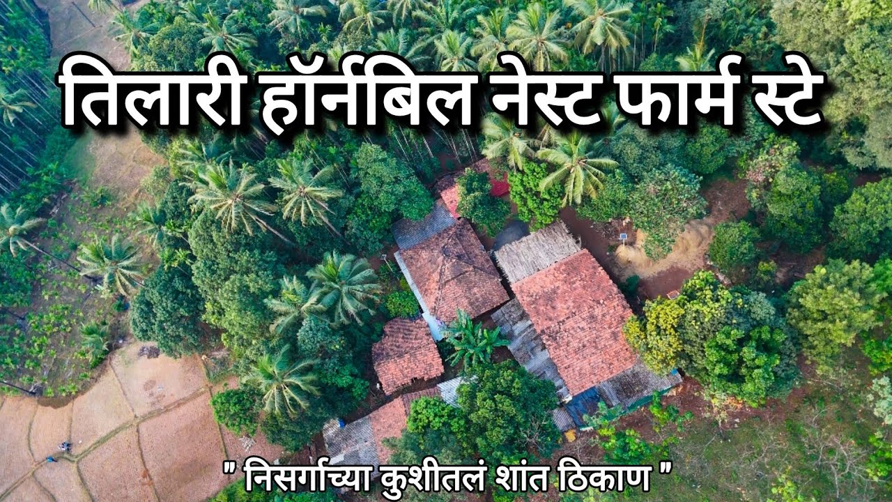 Tilari Hornbill Nest Farm stay | पर्यावरणपूरक कृषी आणि निसर्ग पर्यटन | तळकोकणातील फार्म स्टे 