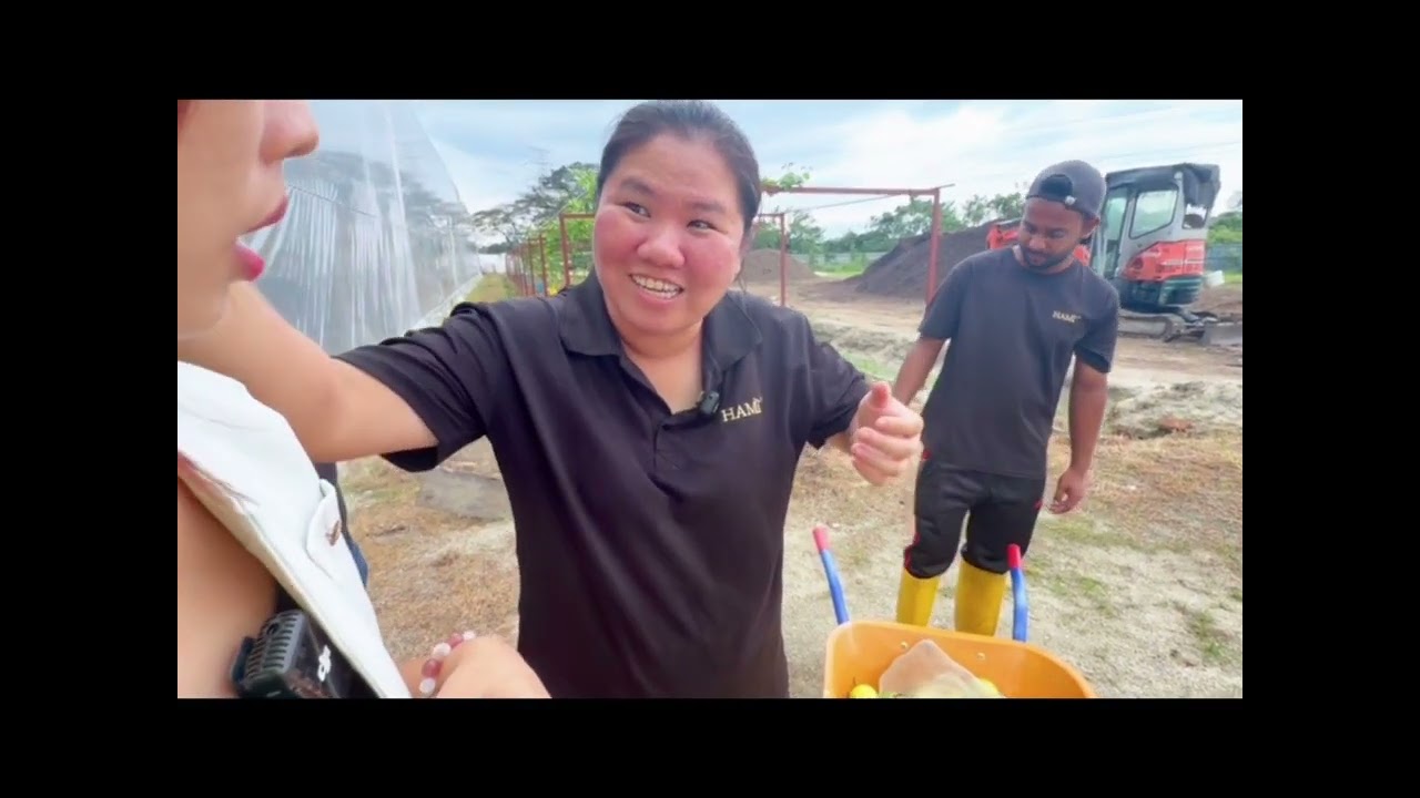 怡保尽然有又甜又香又有酒香味的哈密瓜园😍😍