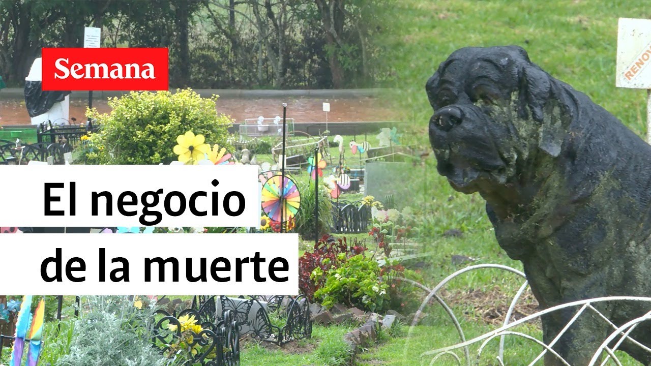 Así funciona el negocio de las funerarias de mascotas  | Semana noticias