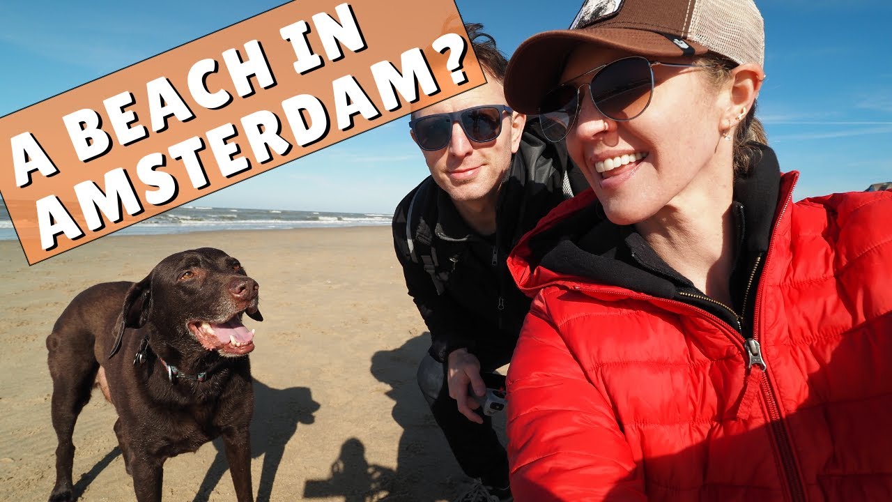 AMSTERDAM has a beach! Sort of. Day trip to the Netherlands coast. | Amsterdam Travel Vlog