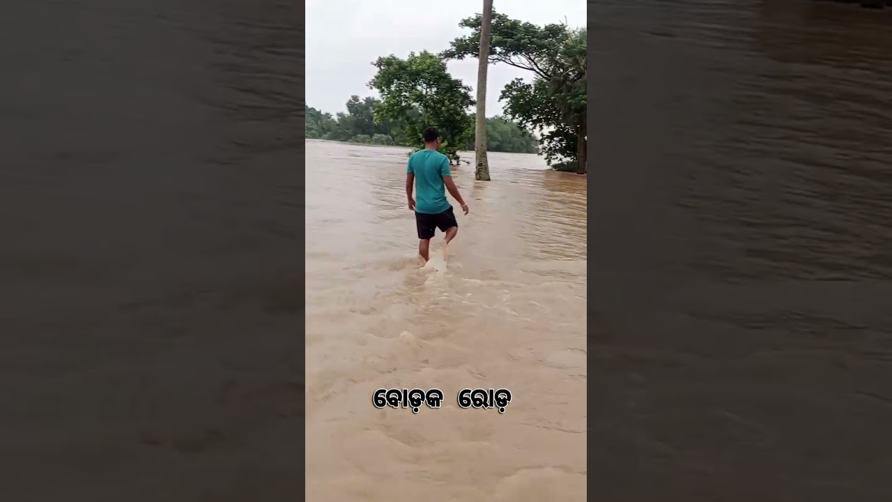 #ବୈତରଣୀରେ ବିପଦ !Odisha Flood |Baitarani River Crosses Danger Mark at Akhuapada | Bhadrak Flood |N18S
