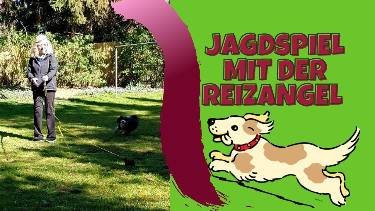Reizangeltraining - erste &Uuml;bungen