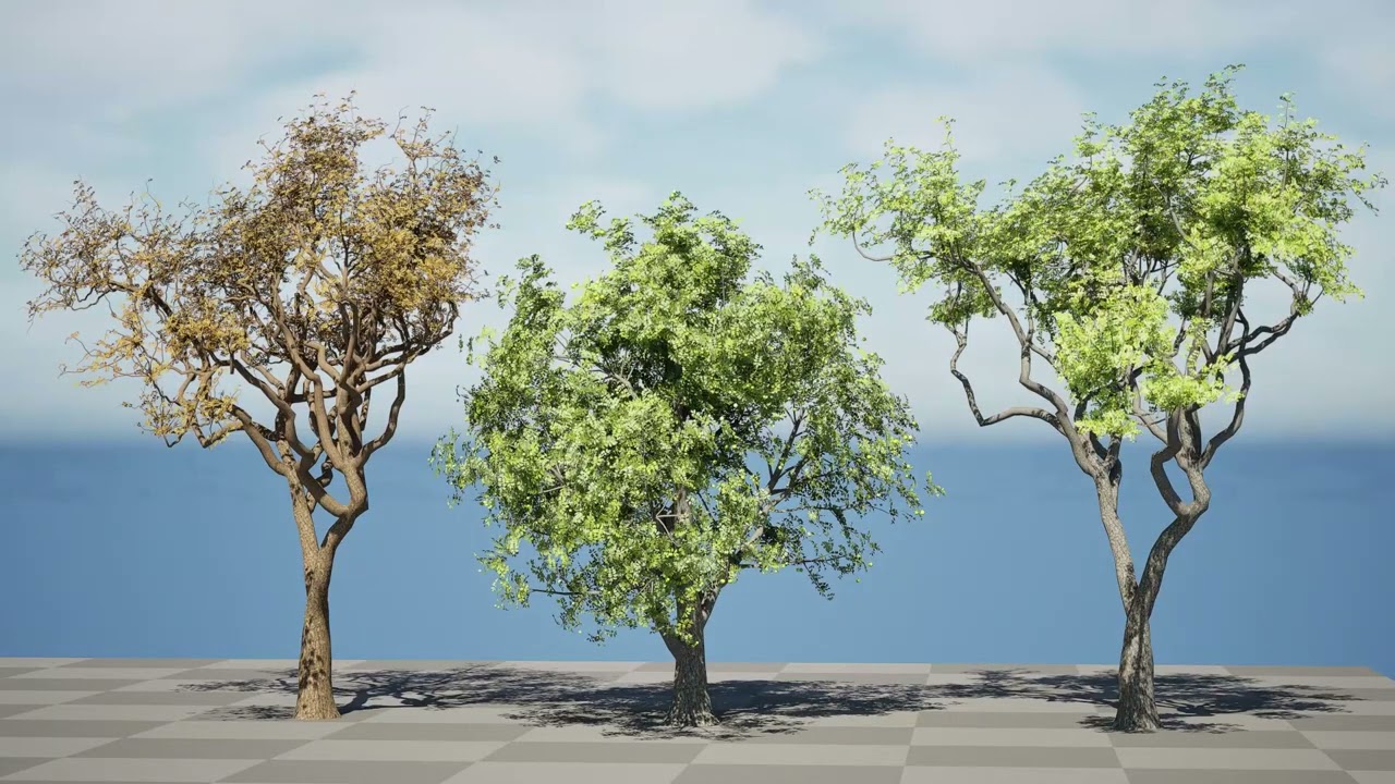 Marula Tree Collection 3d animation with unreal engine