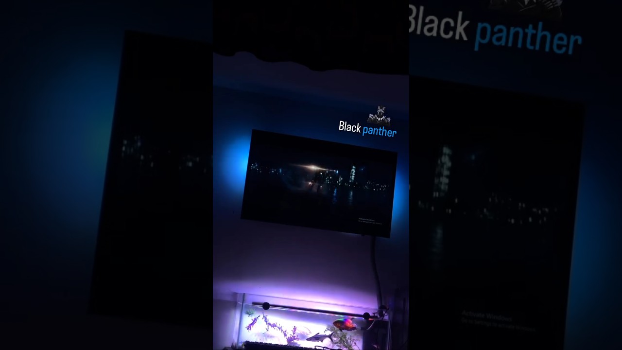 ambilight sync movie background light 