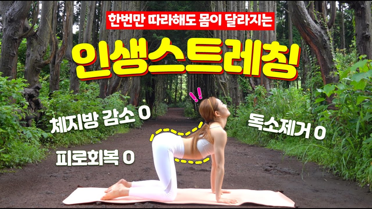 🌈두툼한 내 몸매를 확! 바꿔 줄 ‘기적의 살 빠지는 스트레칭’
