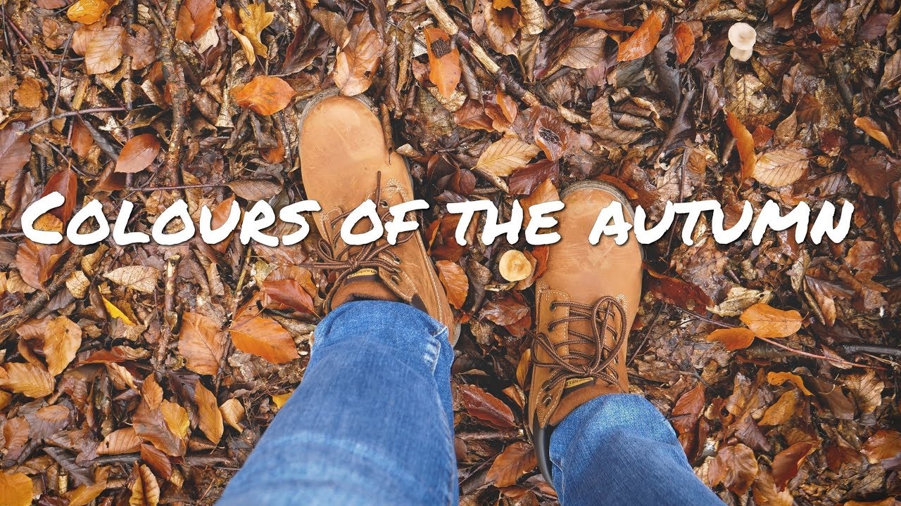 Colours of the autumn in 4k - Lars Kliewer