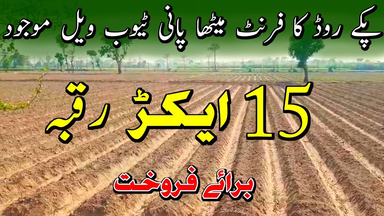 15 Acre Agriculture Land for Sale | Land for sale in punjab pakistan | Land For Sale | Ep 103