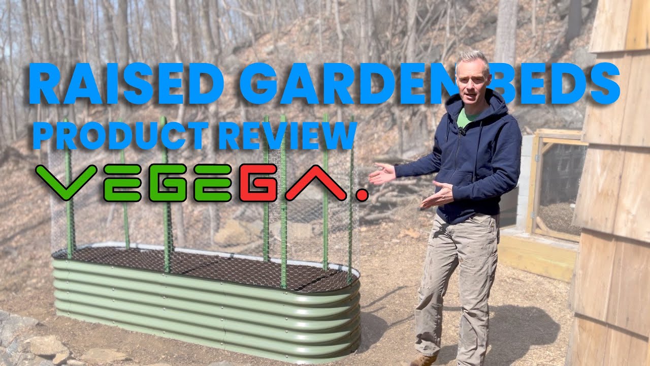 Review of Vegega Metal Raised Beds