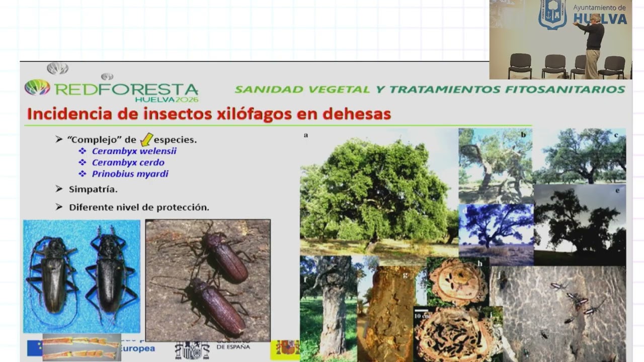 REDFORESTA HUELVA 2026 - Avances en ecología química aplicada a plagas defoliadoras y xilófagas...