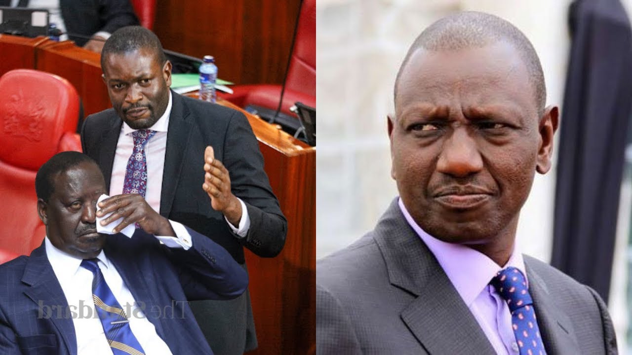 NO JOKES! SEN EDWIN SIFUNA LOSES HIS TEMPER AS HE LECTURES RUTO AND HIS TROOPS OVER RAILA'S AUC LOSS