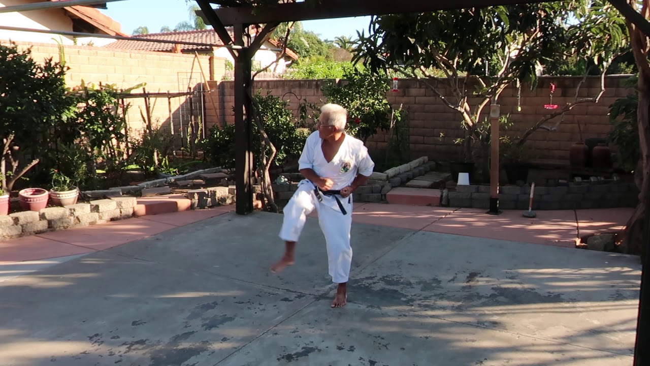 Sunsu (スンス) Sun Nu Su (スン ヌ ス) Isshin-ryū Karate Kata