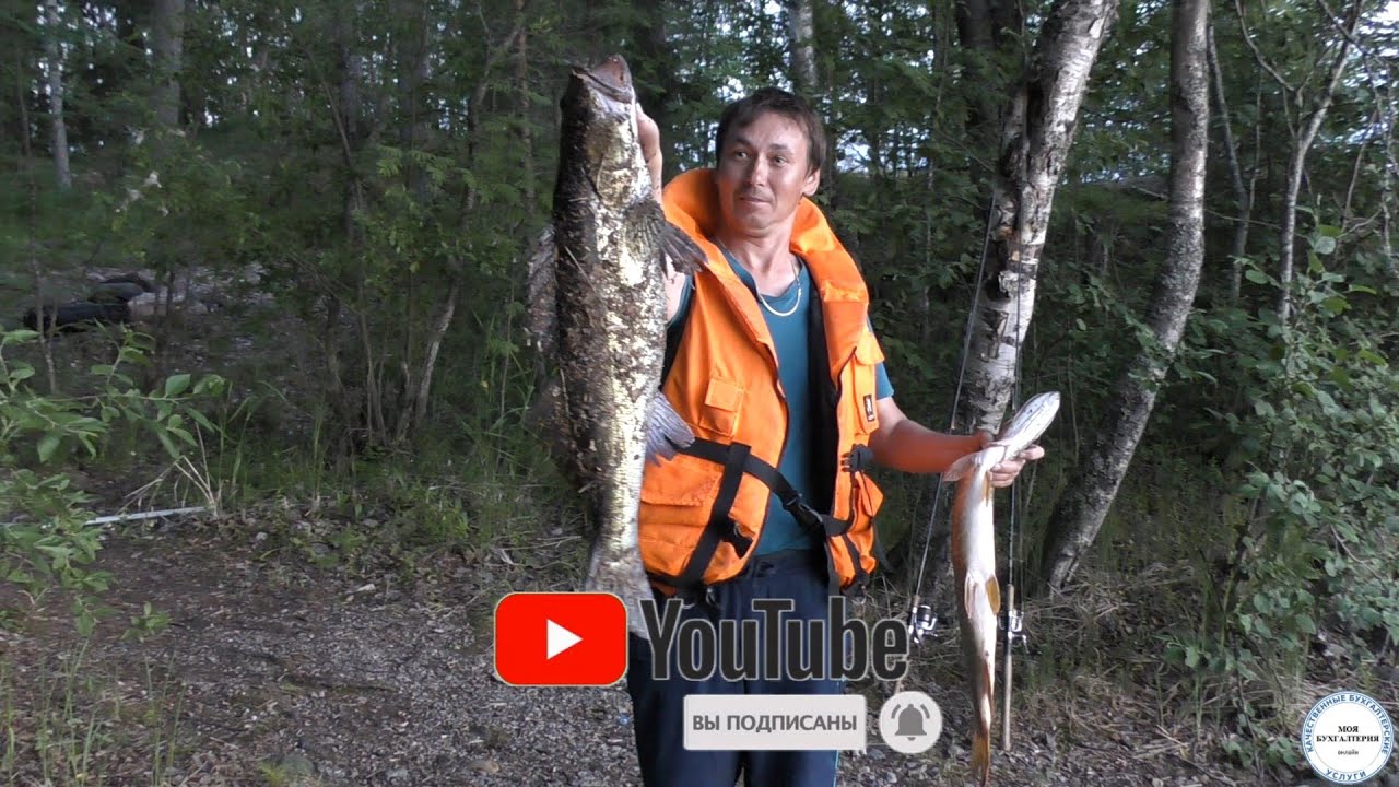 рыбалка на Ладоге, поймали трофейную рыбу🦈,отдых удался🔥👍, #ладожскиешхеры, #ладога, #карелия