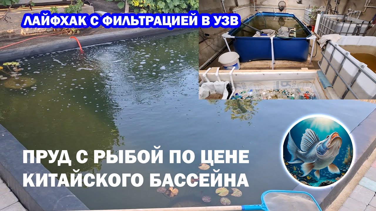 Пруд с рыбой по цене китайского бассейна. Лайфхак по фильтрации в УЗВ по выращиванию осетра, форели
